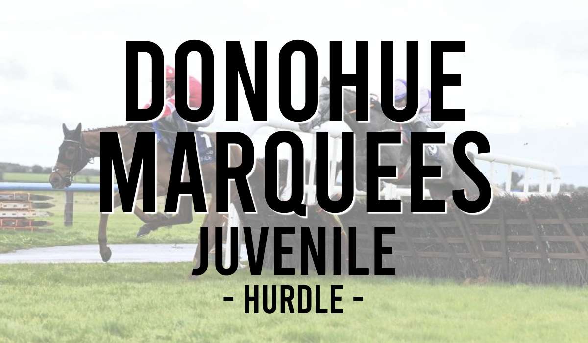 Donohue Marquees Juvenile Hurdle