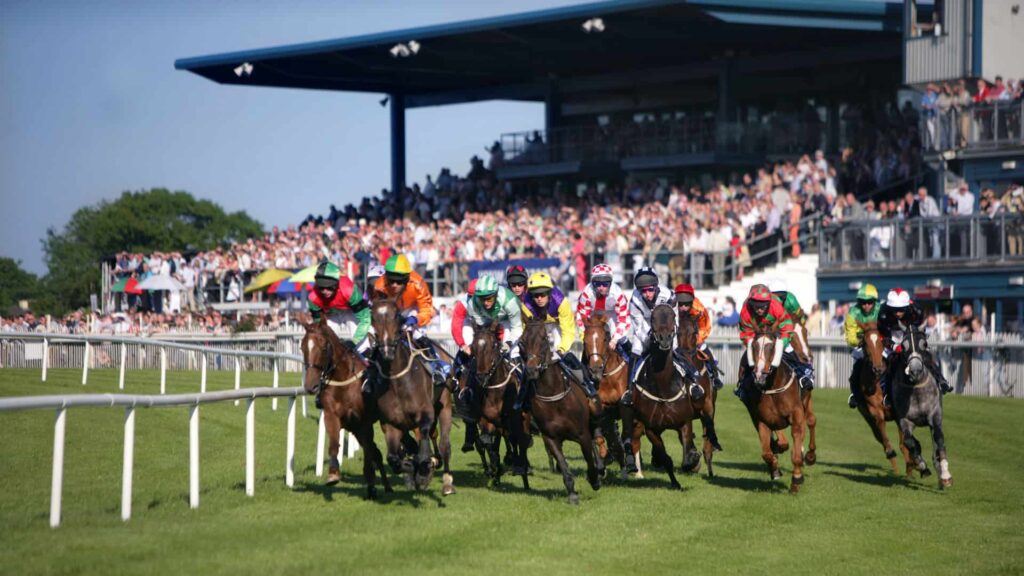 Down Royal Racecourse