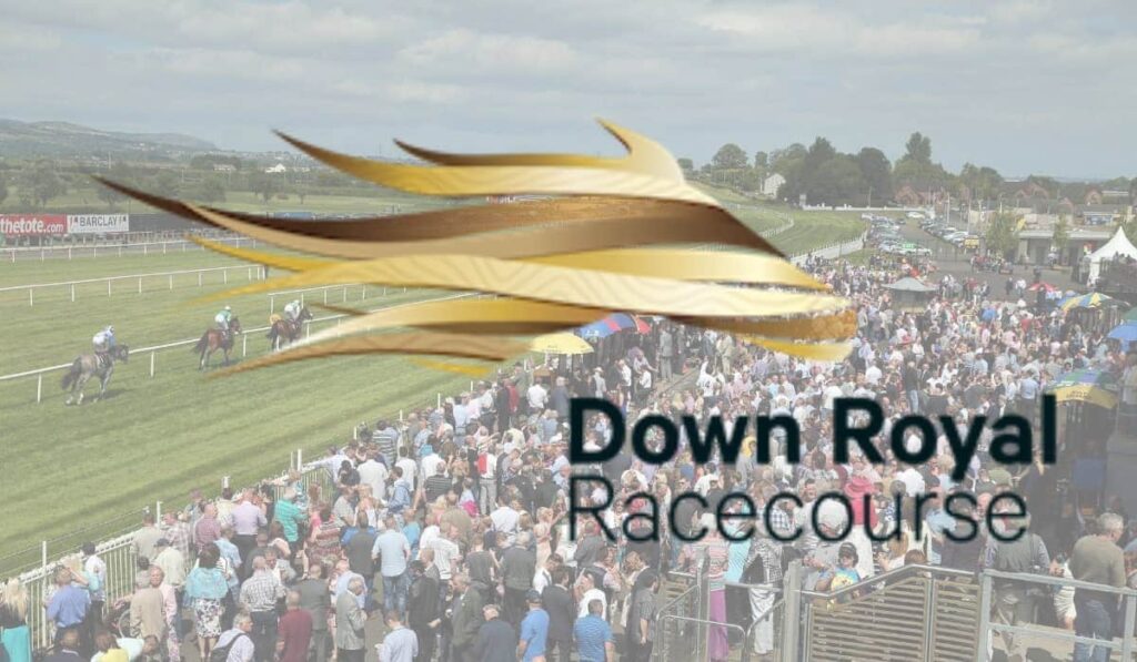 Down Royal Racecourse 29 Down Royal racecourse