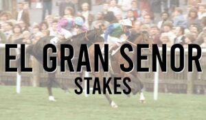 Irish Listed Horse Races 29 El Gran Senor Stakes