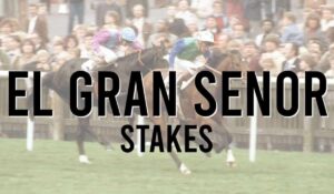 El Gran Senor Stakes