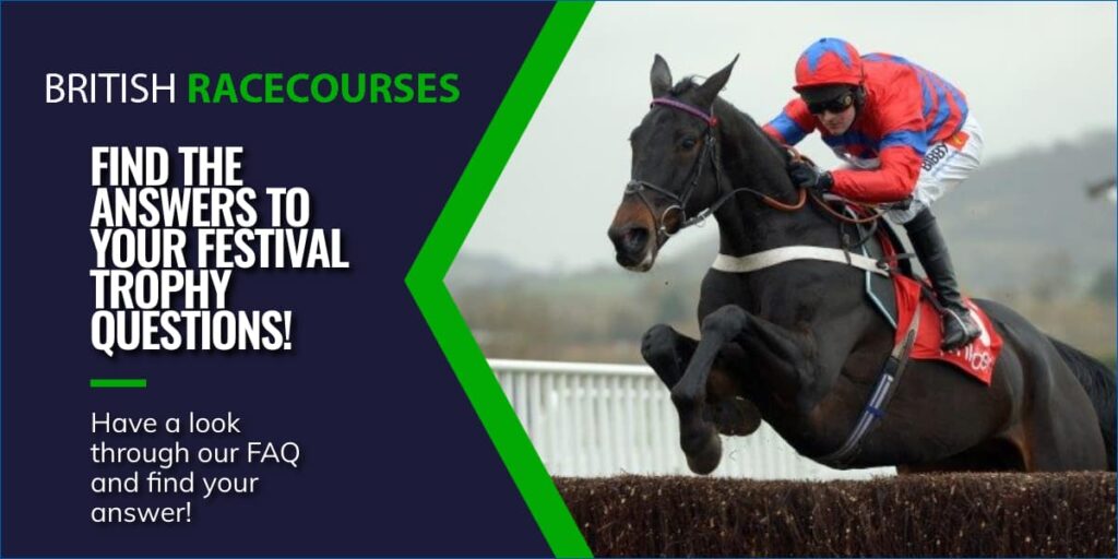 Ryanair Chase 3 FIND THE ANSWERS TO YOUR FESTIVAL TROPHY QUESTIONS!