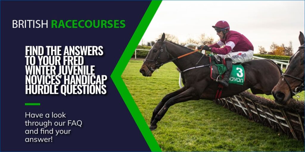 FIND THE ANSWERS TO YOUR FRED WINTER JUVENILE NOVICES' HANDICAP HURDLE QUESTION