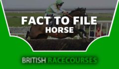 Fact To File Horse