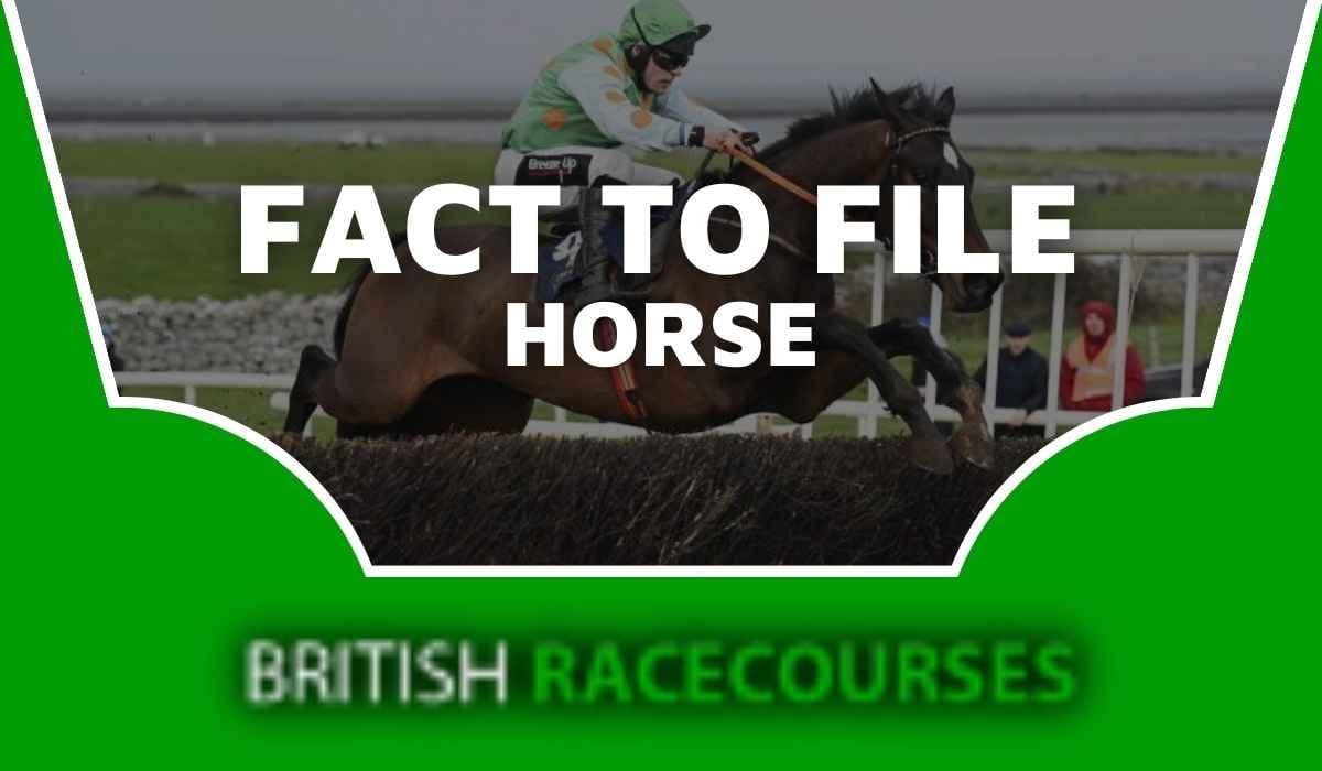 Racehorse Profiles - British Racecourses