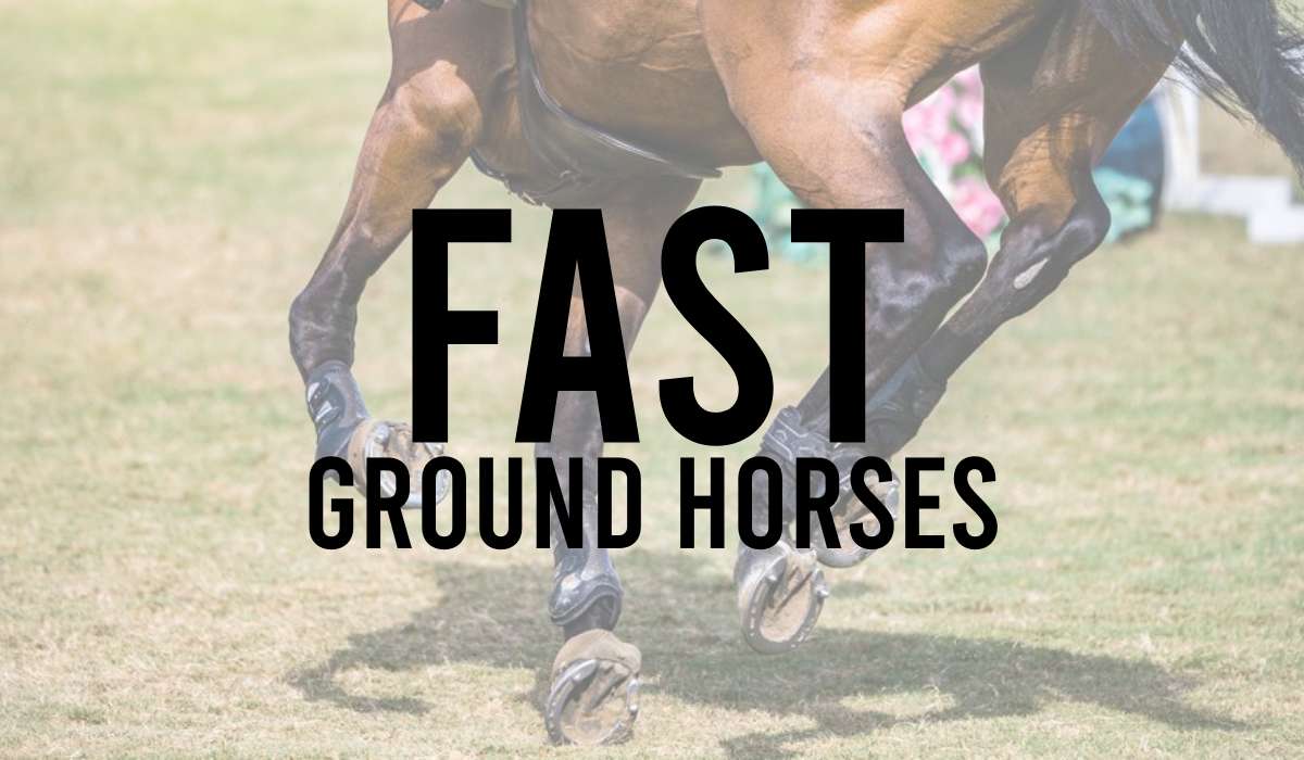 Fast Ground Horses