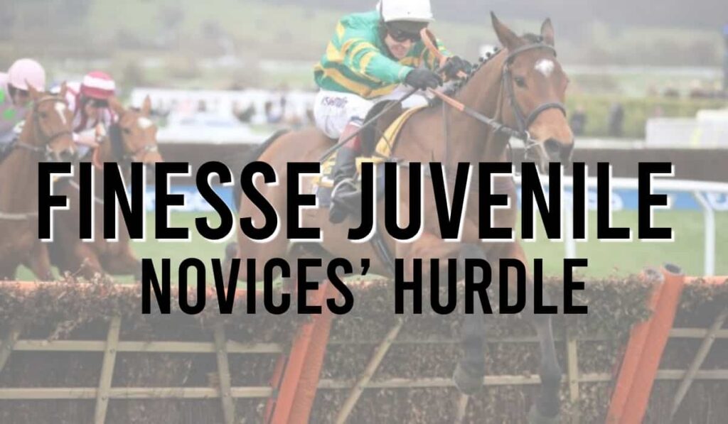 Finesse Juvenile Novices’ Hurdle