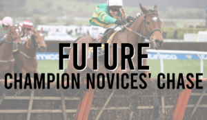 Grade 2 Jump Races 1 Future Champion Novices Chase