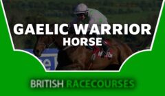 Gaelic Warrior Horse