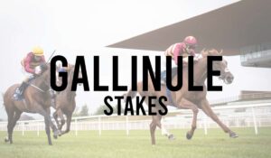 Irish Group 3 Horse Races 29 Gallinule Stakes