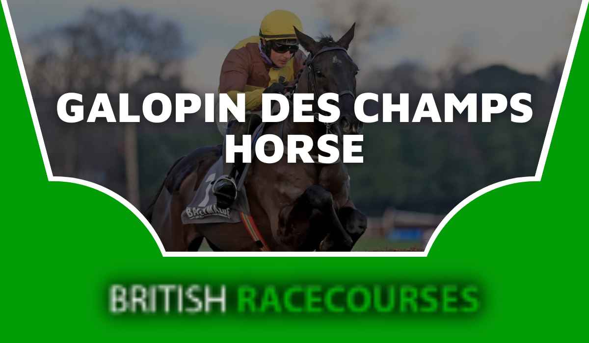 Galopin Des Champs Horse