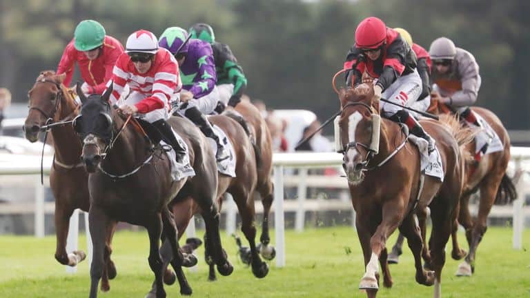 Galway Racecourse Guide 4 Galway Racecourse