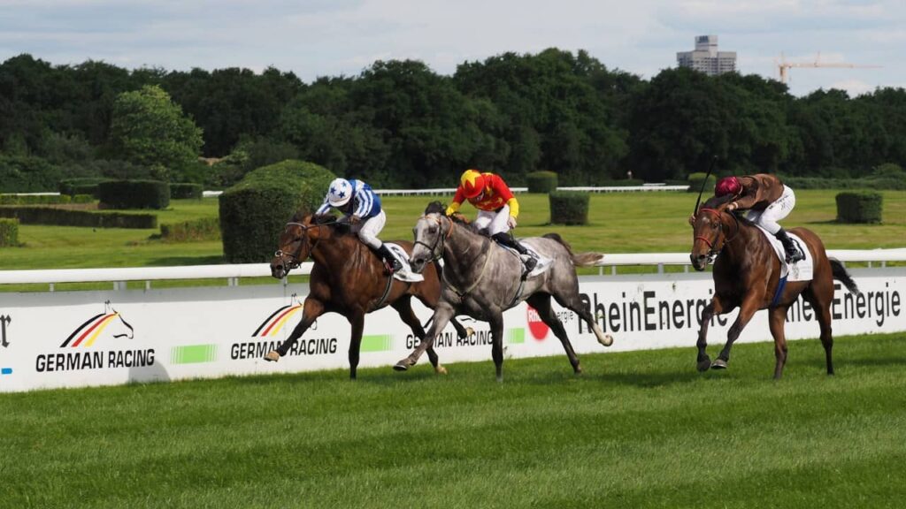 German horse racing