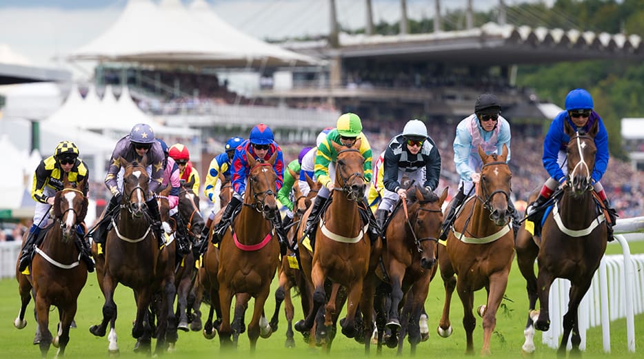 Goodwood Racecourse Guide 3 Goodwood Racecourse Guide