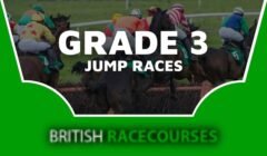 Grade 3 Jump Races