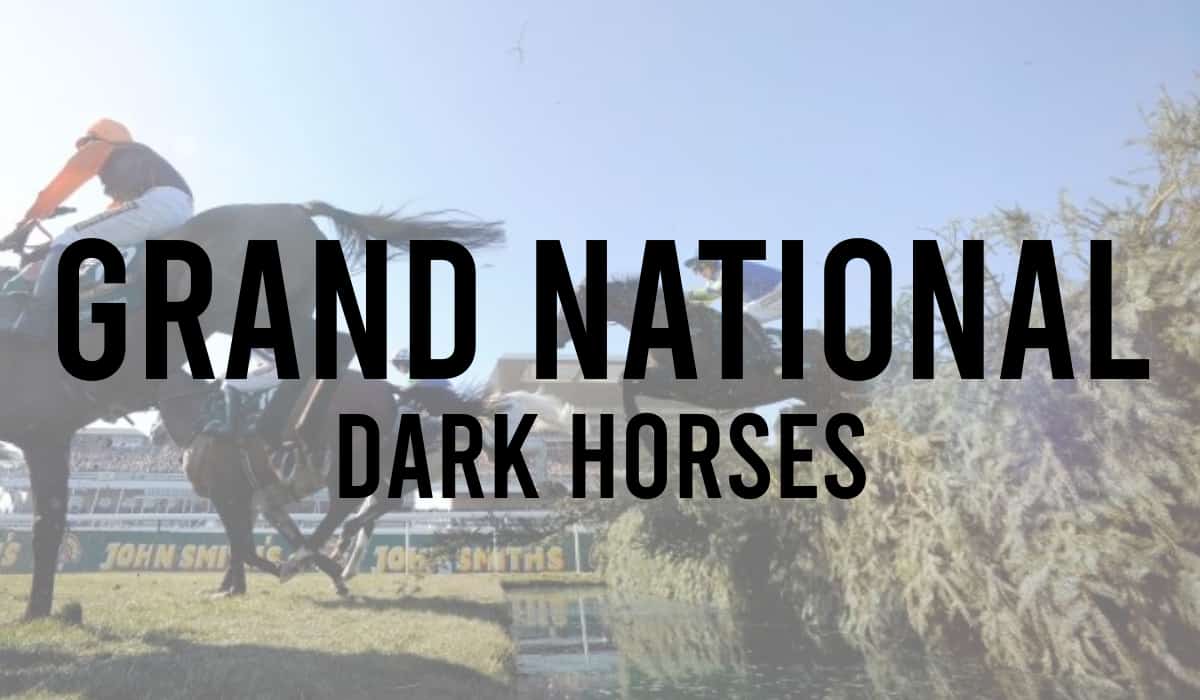 Grand National Dark Horses