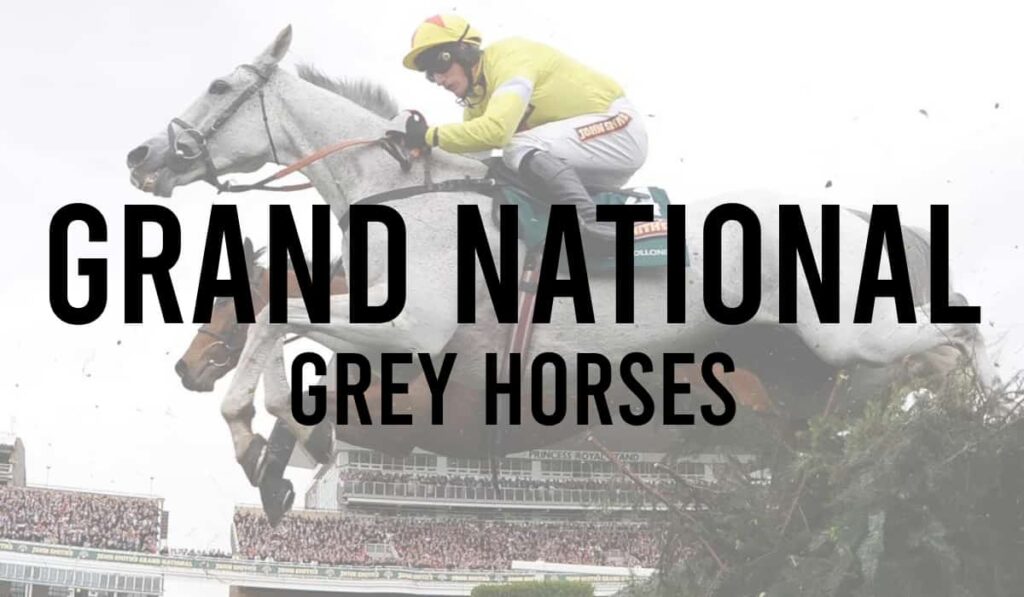 Grey Horses in the Grand National 40 Grey Horses in the Grand National