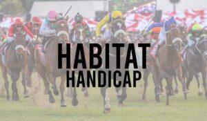Irish Premier Handicap Horse Races 22 Habitat Handicap