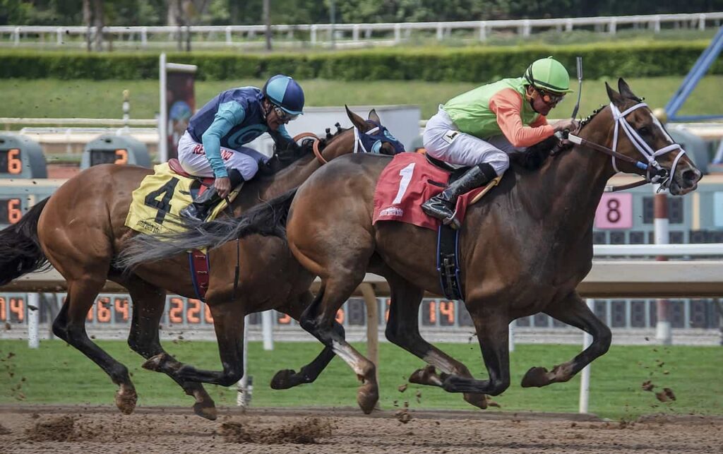 Horse Racing Betting Strategy 42 Horse Racing Betting Strategy