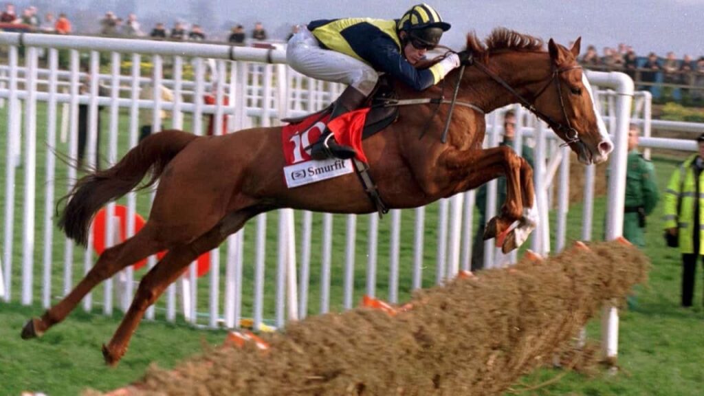 Horse Racing Hurdles Guide