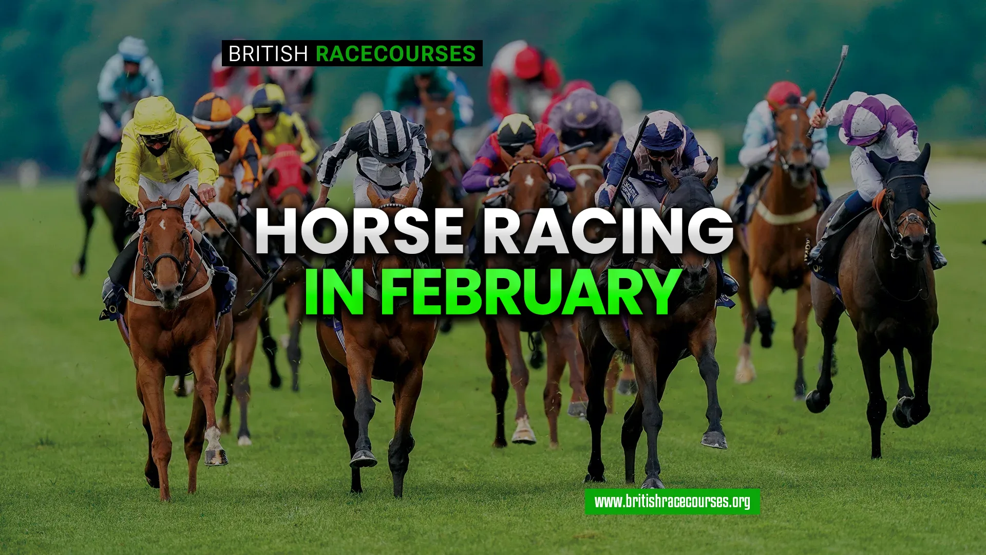 Horse Racing In February 2026 1 Horse Racing in Feb