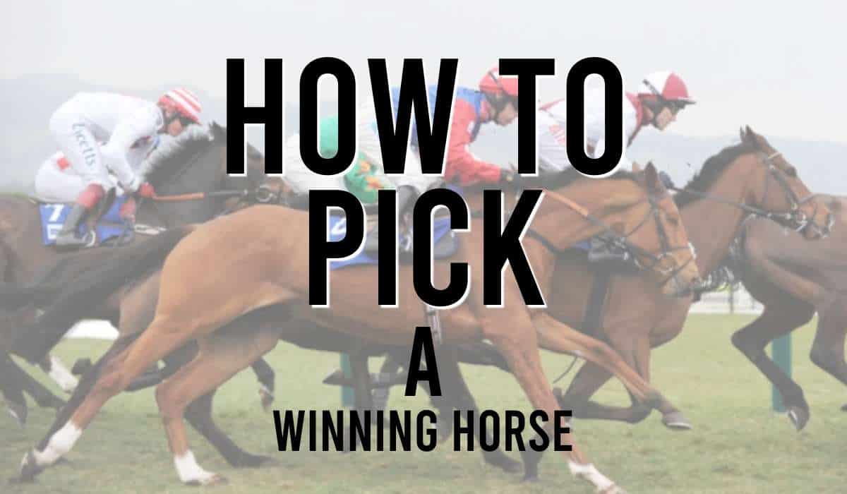 How to Pick a Winning Horse
