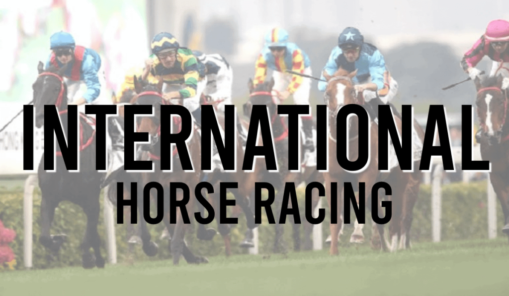 International Horse Racing 14 International Horse Racing