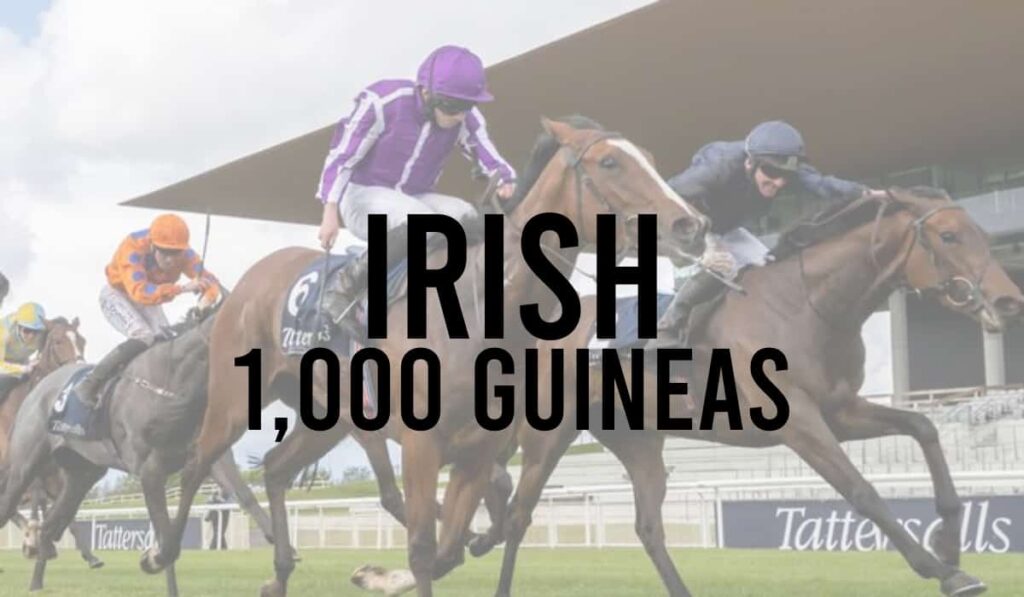 Irish 1,000 Guineas 37 Irish 1,000 Guineas