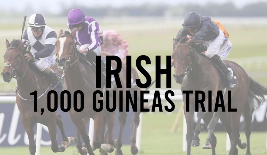 Irish 1,000 Guineas Trial 36 Irish 1,000 Guineas Trial