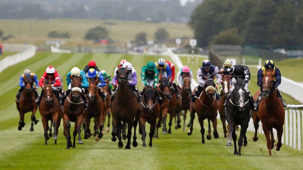 Irish Racecourses 3 Irish Racecourses
