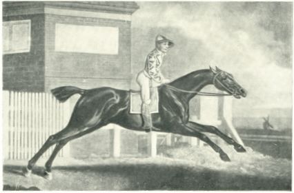 Irish Racing History