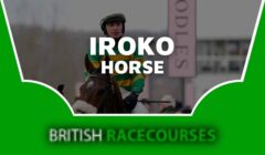 Iroko Horse