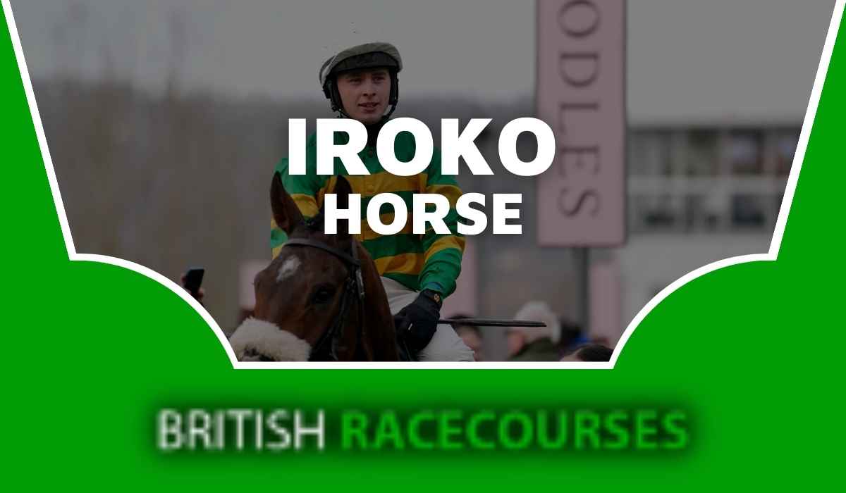 Iroko Horse
