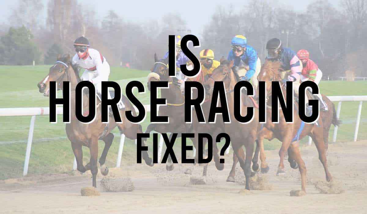 Is Horse Racing Fixed?