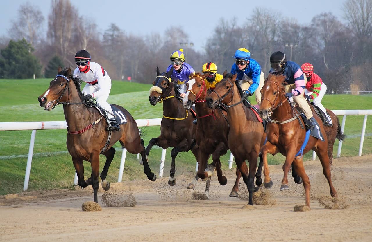 Is Horse Racing Fixed? 20 Is Horse Racing Fixed