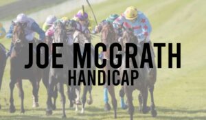 Irish Premier Handicap Horse Races 38 Joe McGrath Handicap
