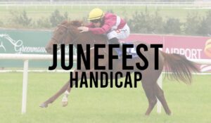 Irish Premier Handicap Horse Races 27 Junefest Handicap
