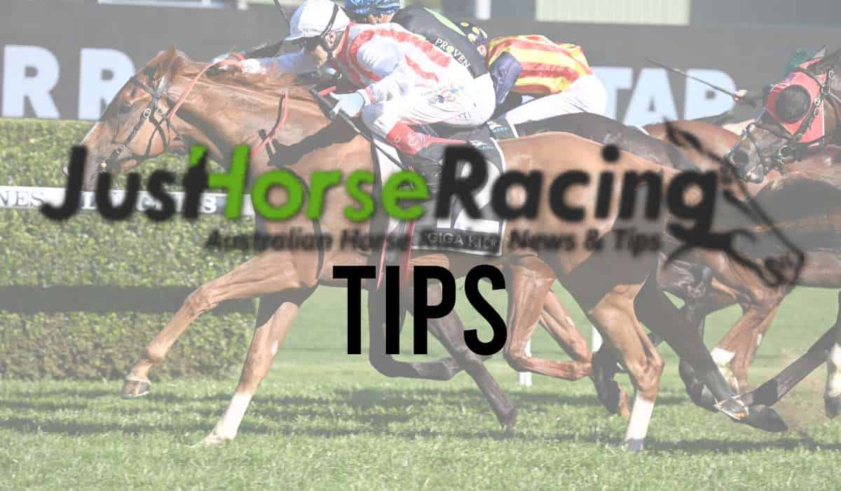 just horse racing tips