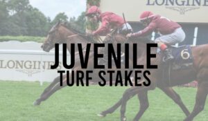 Juvenile Turf Stakes