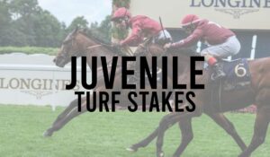 Irish Group 3 Horse Races 49 Juvenile Turf Stakes