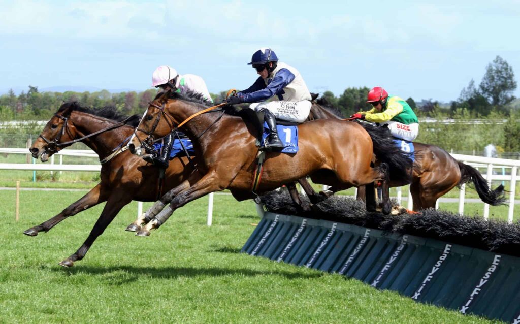 Limerick Racecourse 5 Limerick Races