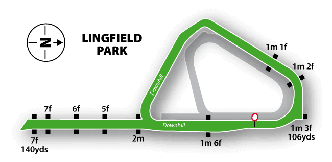 Lingfield Turf Flat Track