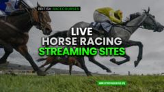 Live Horse Race Streaming