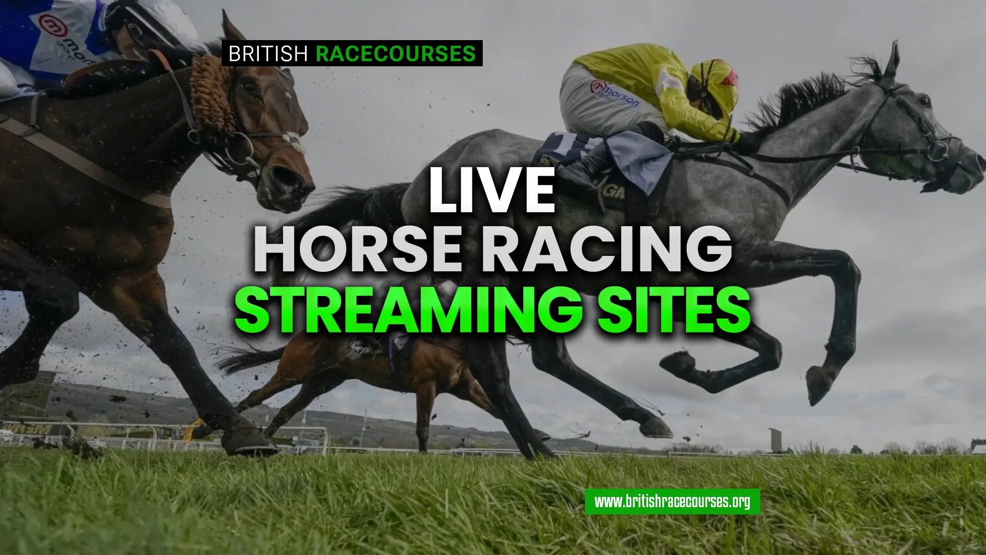 Live Horse Racing Streaming Sites