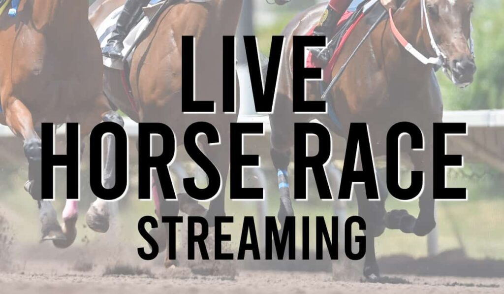 Live horse race streaming-Max-Quality