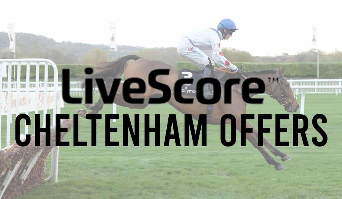 LiveScore Bet Cheltenham Offer