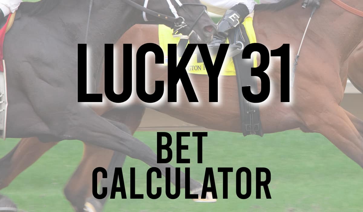 Lucky 31 Bet Calculator