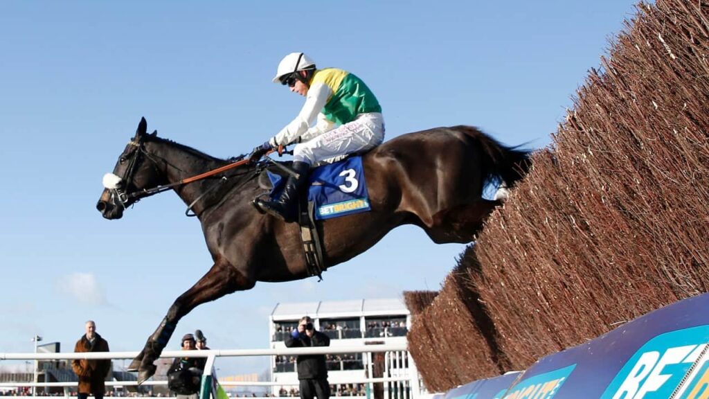 Hennessy Gold Cup Winners 11 Many Clouds