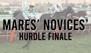 Grade 2 Jump Races 6 Mares Novices Hurdle Finale