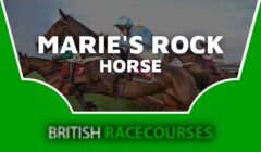 Marie’s Rock Horse